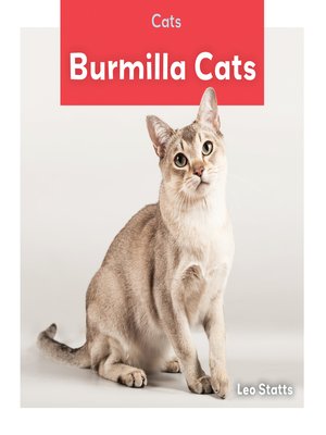 cover image of Burmilla Cats